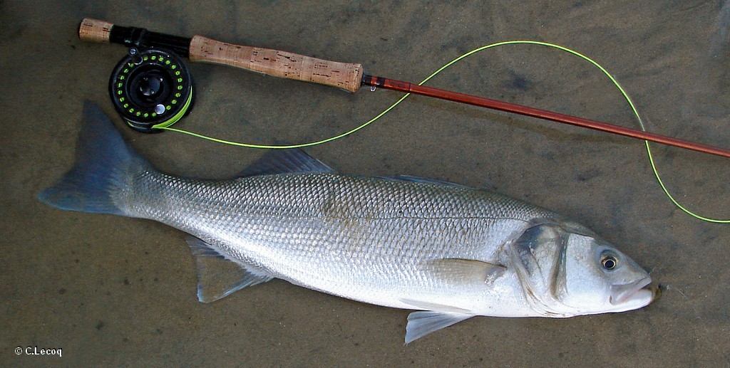 La pêche à karelii la maison au bord